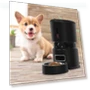 Automatic Cat Feeder — Smart Pet Feeders, HappyToy