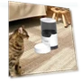 Automatic Pet Feeder with Timer — Automatic Feeders, Pet Doggy