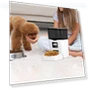 Automatic Pet Feeder — Automatic Feeders, Pet Doggy