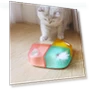 Interactive Automatic Cat Toy Whack-A-Mole — Cat Playthings, Pet park