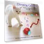 Interactive Cat Toy Ball — Cat Playthings, JOHO - CarGear