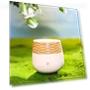 Mini Air Humidifier with Essential Oil Diffuser — Diffusers, Hobbies mall