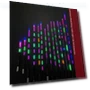Ultra-sensitive LED Smart Fishing Float — Bite Indicators, hongliang