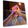 Electric Dancing Octopus Toy — Musical Toys, Sports Accessory