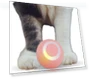 Smart Rolling Ball for Cats — Balls, Refreshing Home