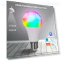 RGB LED Light Bulb — LED, Build My Home