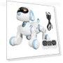 Remote Control for Robot Dog Toy — Interactive Animal Companions, Funnny Toys