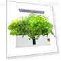 Hydroponic Smart Growing System — Germination Kits, TOMTOP JMS