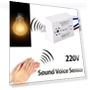 Intelligent Sound Voice Sensor Light Switch — Dimmer Switches, AVE