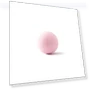 Automatic Rolling Ball Toy — Cat Playthings, BC Pet Supplies