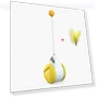 Interactive Cat Toy — Cat Playthings, Smart Pet Supplies