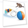 Electric Cat Toy Ball — Cat Playthings, Challenge