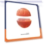 Interactive Rolling Ball for Pets — Balls, the BAY
