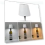 Wireless USB Charging Lamp in Wine Bottle Shape — Study & Desk Lighting, YJMP home