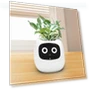 Smart Flower Pot — Artificial Plants, HappyToy