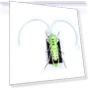 Solar Powered Grasshopper Robot Toy — Solar Power, zingy
