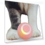 Smart Cat Toys Interactive Ball — Balls, Home Furnishing W