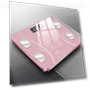Smart Body Fat Scale — Weight Management Tools, Factory Discount Outlet