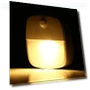 Smart LED Night Light with Motion Sensor — Night Lights, free rabbit