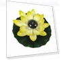 Waterproof Solar Lotus Lamp — Outdoor Floor Lighting, Yeewangw