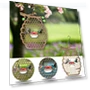 Smart Bird Feeder — Backyard Birding, linglong