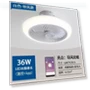 LED Ceiling Fan with Light — Ceiling Fan Lighting Solutions, Vinde Home