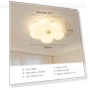Modern LED Ceiling Light — Overhead Lighting, AE Selection