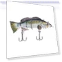 Electronic Robotic Fish — Traps, Luminaire Lighting Mall