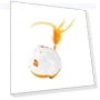 Automatic Feather Cat Toy — Cat Playthings, Pet family bucket