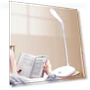 Touch LED Desk Lamp — Study & Desk Lighting, Good Household Items