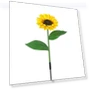 Outdoor Solar Lamp with Sunflowers — Outdoor Floor Lighting, Happy Home Mall