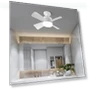 3-in-1 Ceiling Fan Light with Remote Control — Ceiling Fan Lighting Solutions, Build My Home