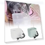 Automatic Recirculating Filtering Water Fountain for Cats — Pet Hydration Solutions, Seahorse Home