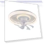 Smart Ceiling Fan with Light — Ceiling Fan Lighting Solutions, Seahorse Home