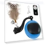 Smart Ball for Cats — Cat Playthings, World Auto Parts