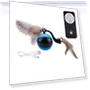 Interactive Cat Ball with Feather Tails and Sound — Cat Playthings, World Auto Parts
