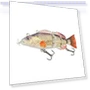 Robotic Swimming Lures — Artificial Bait, Auto Home Solutions