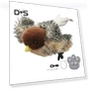 Interactive Cat Toy — Cat Playthings, Kitty Cat House