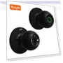 Biometric Door Lock — Smart Home Security, Chic Home