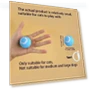Interactive Pet Toy Ball — Cat Playthings, JINGYUE Pet