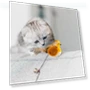 Squeaky Bird Cat Toy — Cat Playthings, Love DIY