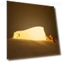 Dimmable Silicone Duck Night Light — Lamps & Shades, DC-HOME Textile