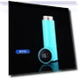 Smart Thermos with Display — Beverage Warmers, Phone Home