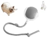 Interactive Pet Toy Ball — Cat Playthings, Household supplies MH