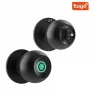 Smart Door Handle with Fingerprint Lock — Levers, The Romantics
