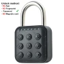 Smart Door Lock — Smart Home Security, HOME-Auto-001