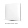 WiFi Smart Switch with Voice Control — Smart Home Hubs & Controllers, StrideBox