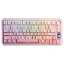 80 Keys Customizable Gradient Mechanical Keyboard — Keyboards, AULA