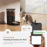 Automatic Cat Feeder — Smart Pet Feeders, IMIPAW