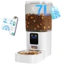 Automatic Pet Feeder with Slow Feed — Automatic Pet Feeder, Frienhund